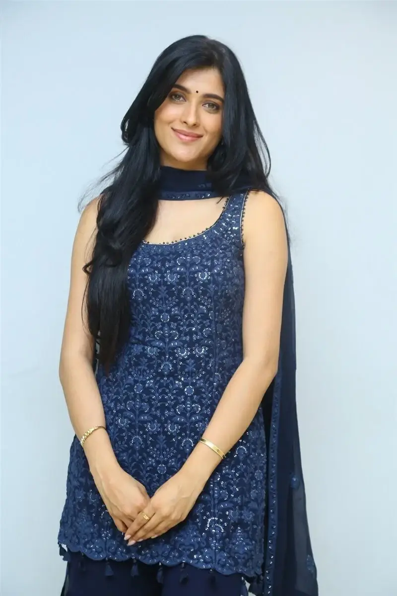 TELUGU GIRL GEETHIKA TIWARY AT AHIMSA MOVIE PRESS MEET 15